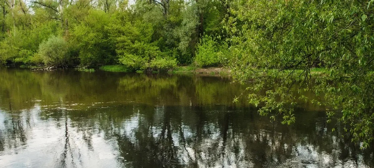На реке Мухавец заметили сливы нечистот