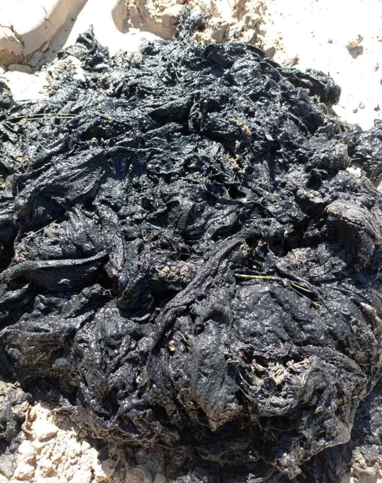 Содержимое колодца около дома №28 по ул. Дружбы в Кобрине. Фото: vkobrine.by.