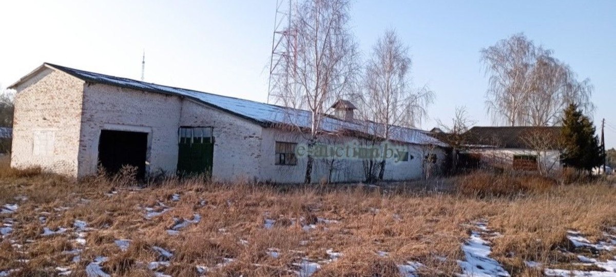 Пад Драгічынам распрадаюць гаспадарку