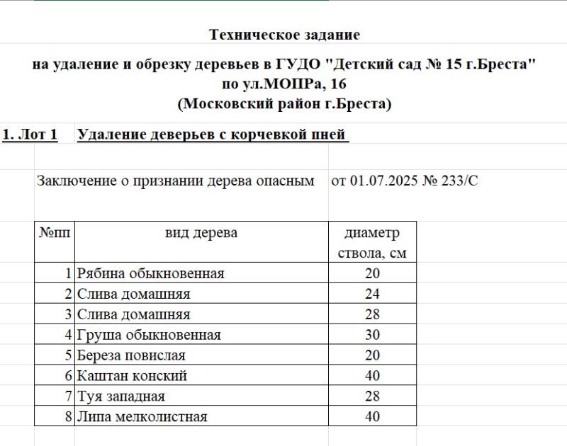 Техническое задание на удаление деревьев в детском саду №15 в Бресте. Скриншот документа