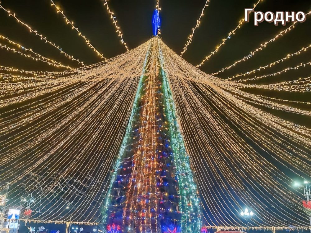 елка в гродно