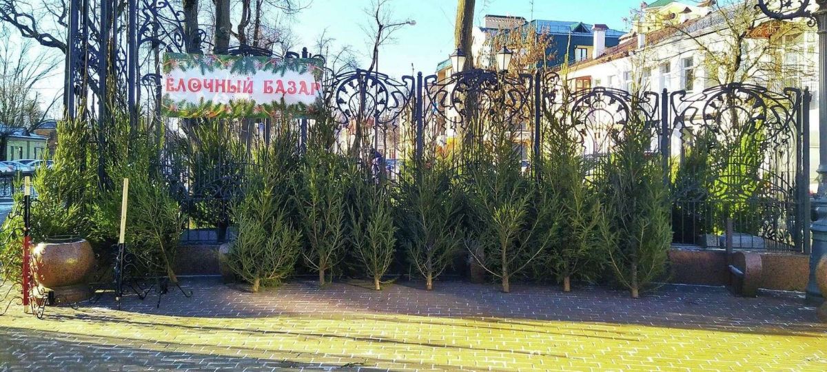 Елки, елочные базары, Гоголя