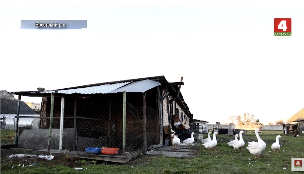 Сарай, который хотят снести. 