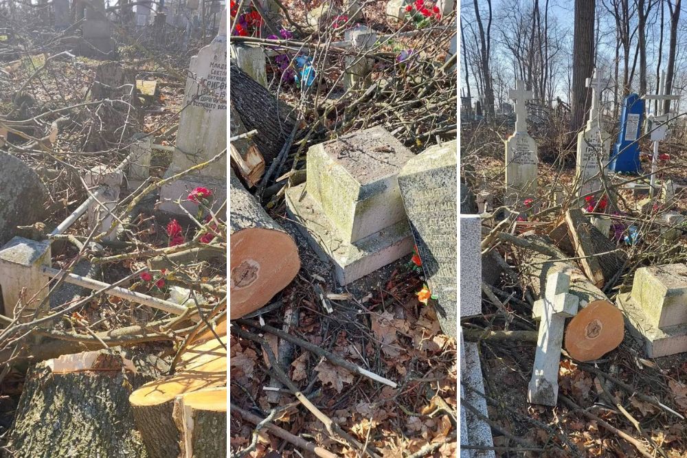 Спиленные деревья и поврежденные памятники на Тришинском кладбище в Бресте. Коллаж BGmedia