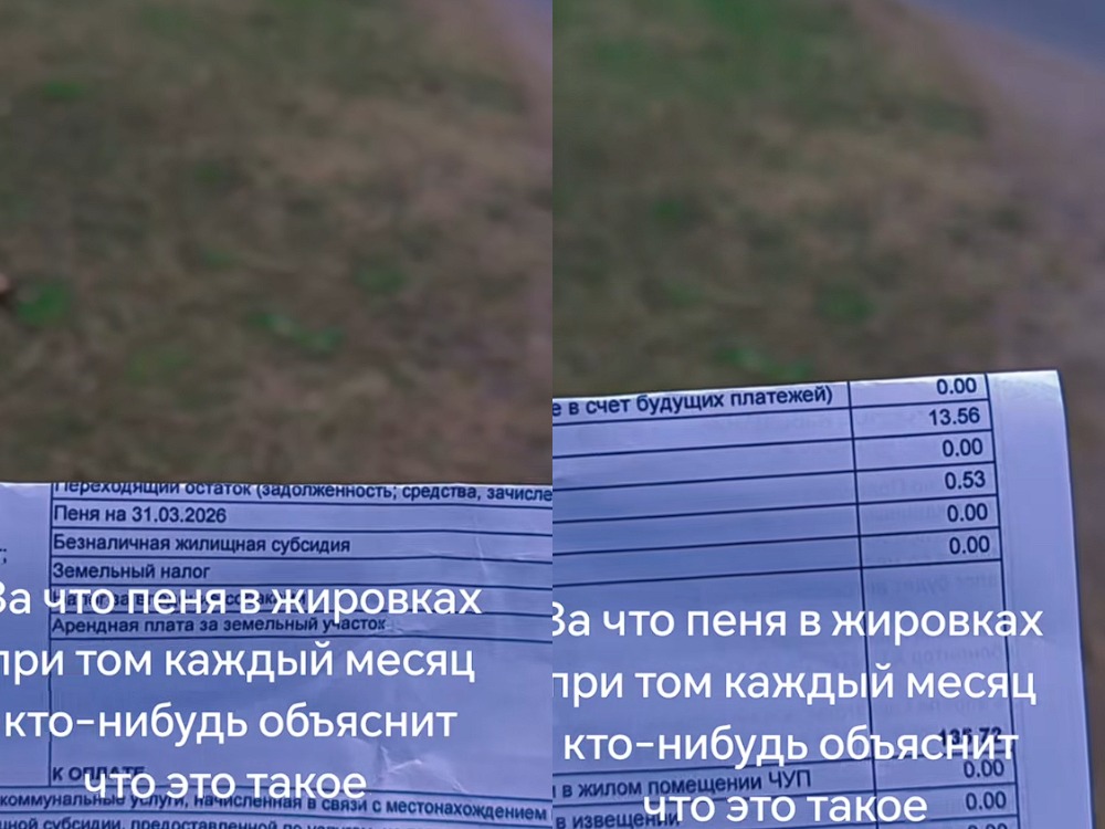 начисленная пеня 