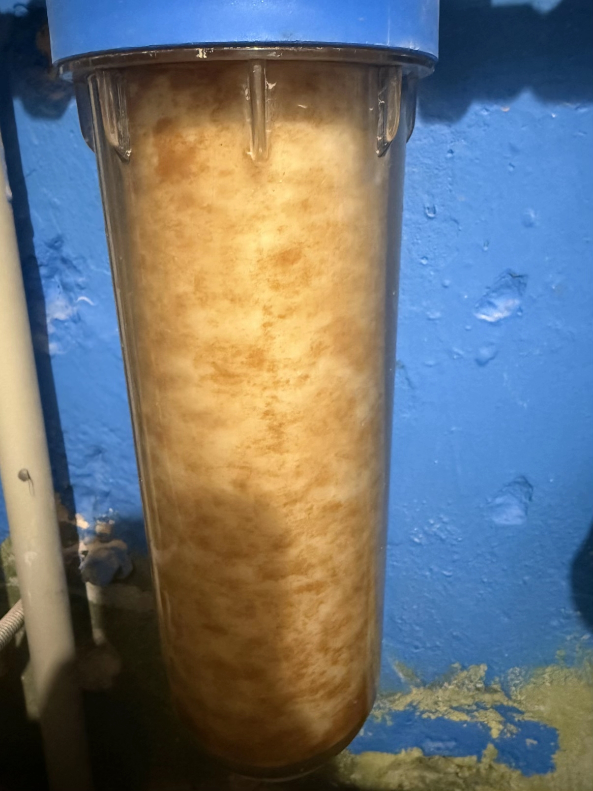 Состояние фильтра за 4 дня в микрорайоне Западный в Пинске