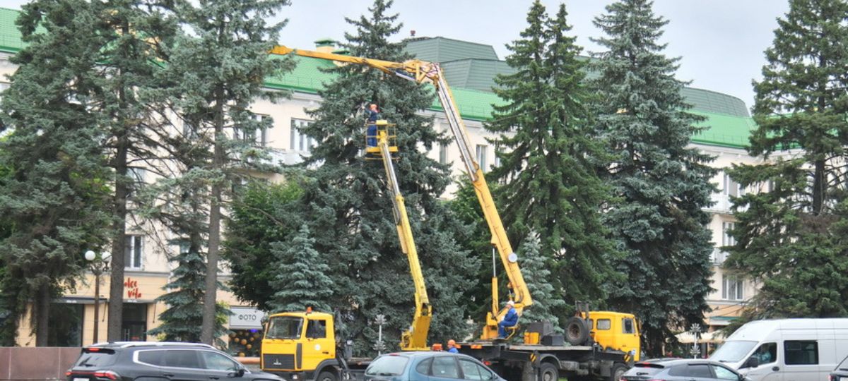 Удаление деревьев на площади Ленина в Барановичах