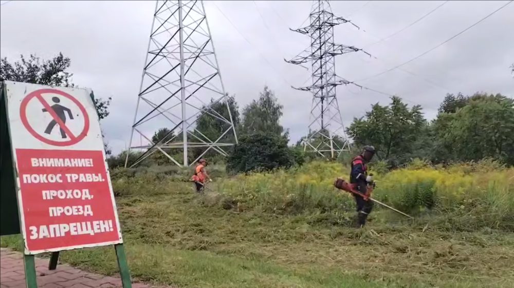 Борьба с золотарником в Бресте в августе 2026 года. Скриншот видео Брестского горисполкома