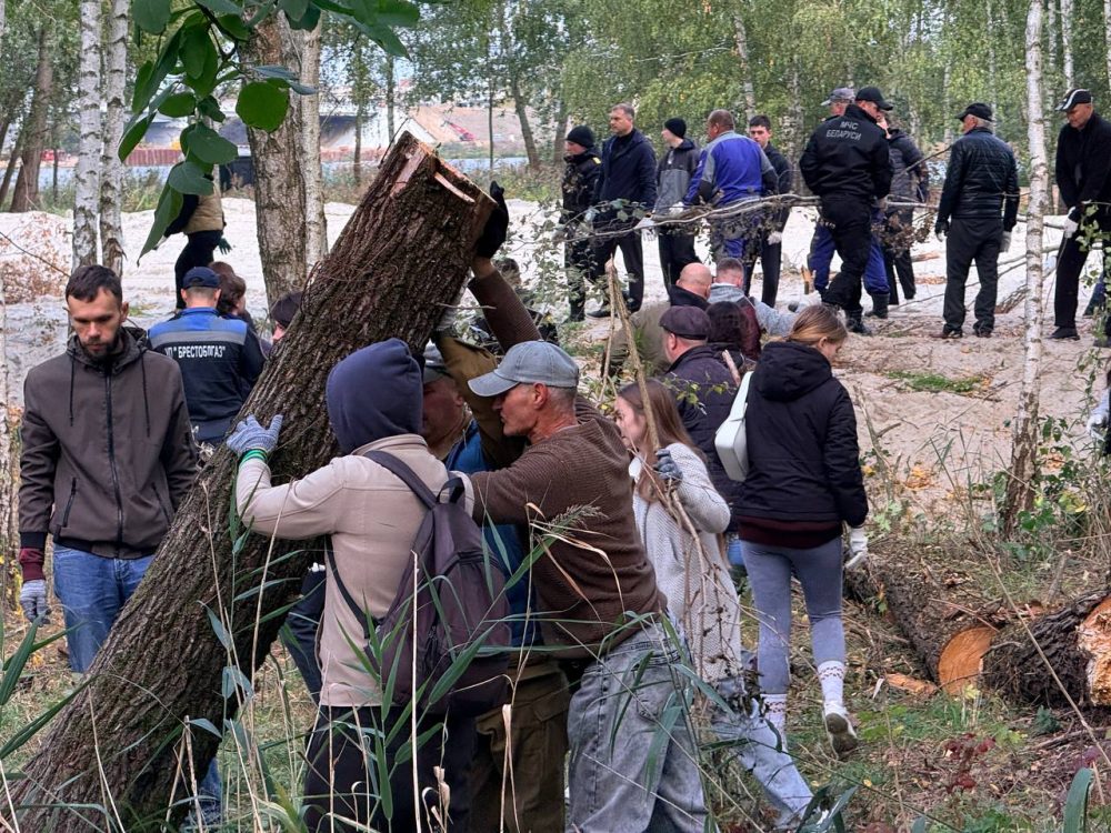 Благоустройство территории возле пляжа «Заречный» в Бресте. Фото: Брестский горисполком